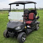 48V Electric Golf Cart 4 Seater Renegade X Edition Utility Golf UTV – BLACK - Prioka