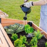 Aggie Cold Frame Box - Image 18