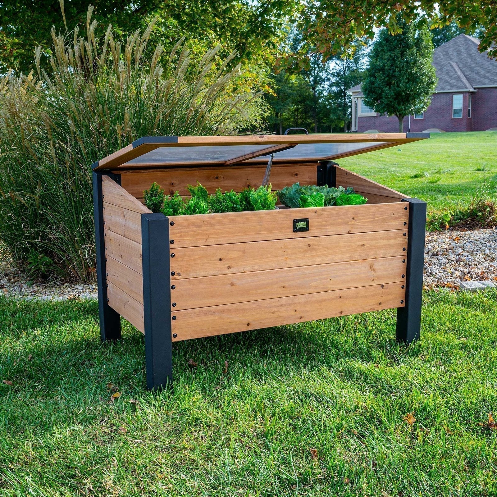 aggie-cold-frame-box-7222779-1 Aggie Cold Frame Box - Prioka