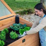 Aggie Cold Frame Box - Image 14