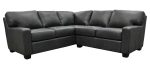Albany Leather Sectional - Image 5