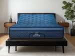 Ascension? Luxe Adjustable Power Base