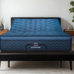 Ascension? Luxe Adjustable Power Base