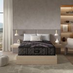 Beautyrest Black? Series Two 14.25" Firm Mattress