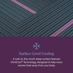 Beautyrest World Class Hybrid Level Three Firm 13" Mattress - Image 7
