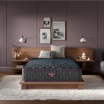 Beautyrest World Class? Level 3 Extra Firm Mattress