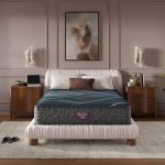 Beautyrest World Class? Level 4 Hybrid Firm Mattress