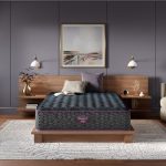 Beautyrest World Class Level Three Medium-Firm Mattress
