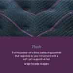 Beautyrest World Class Level Three Plush Mattress - Image 5