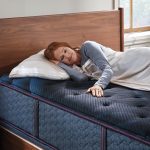 Beautyrest World Class Level Three Plush Mattress - Image 3