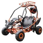 DongFang 125cc Kids Go Karts Type-GTS - Prioka