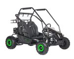 Drift Hero 2-Seater Electric Go Karts. - Prioka