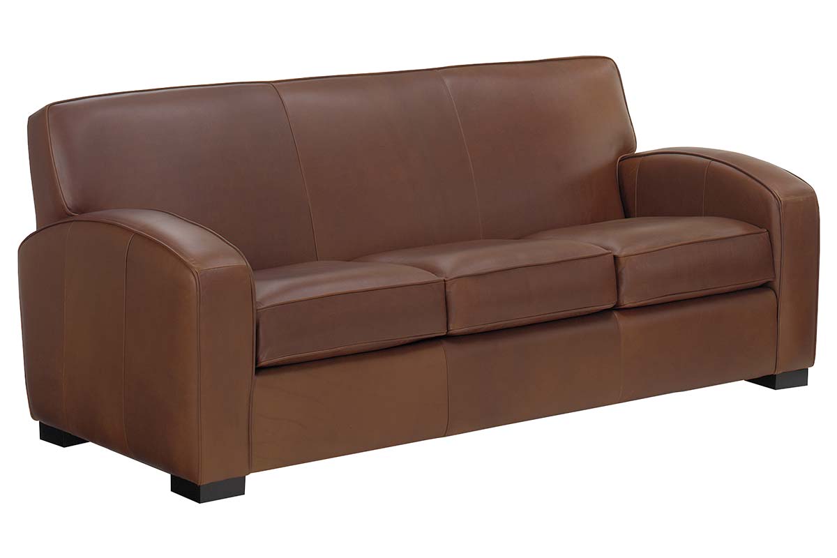 hayden-81-inch-contemporary-leather-sofa-6330856 Hayden 81 Inch Contemporary Leather Sofa - Image 1