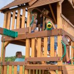 Highlander Swing Set - Image 4
