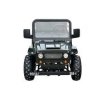 Massimo Minis 125 Go Karts 125cc 9hp - Image 4