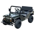 Massimo Minis 125 Go Karts 125cc 9hp - Image 6