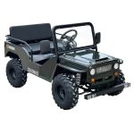 Massimo Minis 125 Go Karts 125cc 9hp - Image 3