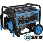Pulsar 10,000 Watt Dual Fuels Portables Generator PG10000BRCO - Image 5