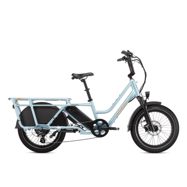 Rad Power Bikes RadWagon 5 Electrics Cargo Bikes
