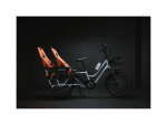 Rad Power Bikes RadWagon 5 Electrics Cargo Bikes - Image 3