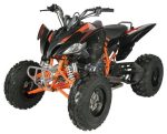 Regency PRO Ultra Sport 250cc ATV - Prioka