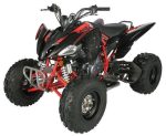 Regency PRO Ultra Sport 250cc ATV - Image 2