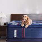 Sealy Posturepedic Elite Spring Albany II 15" Soft Euro Pillowtop Mattress - Image 11