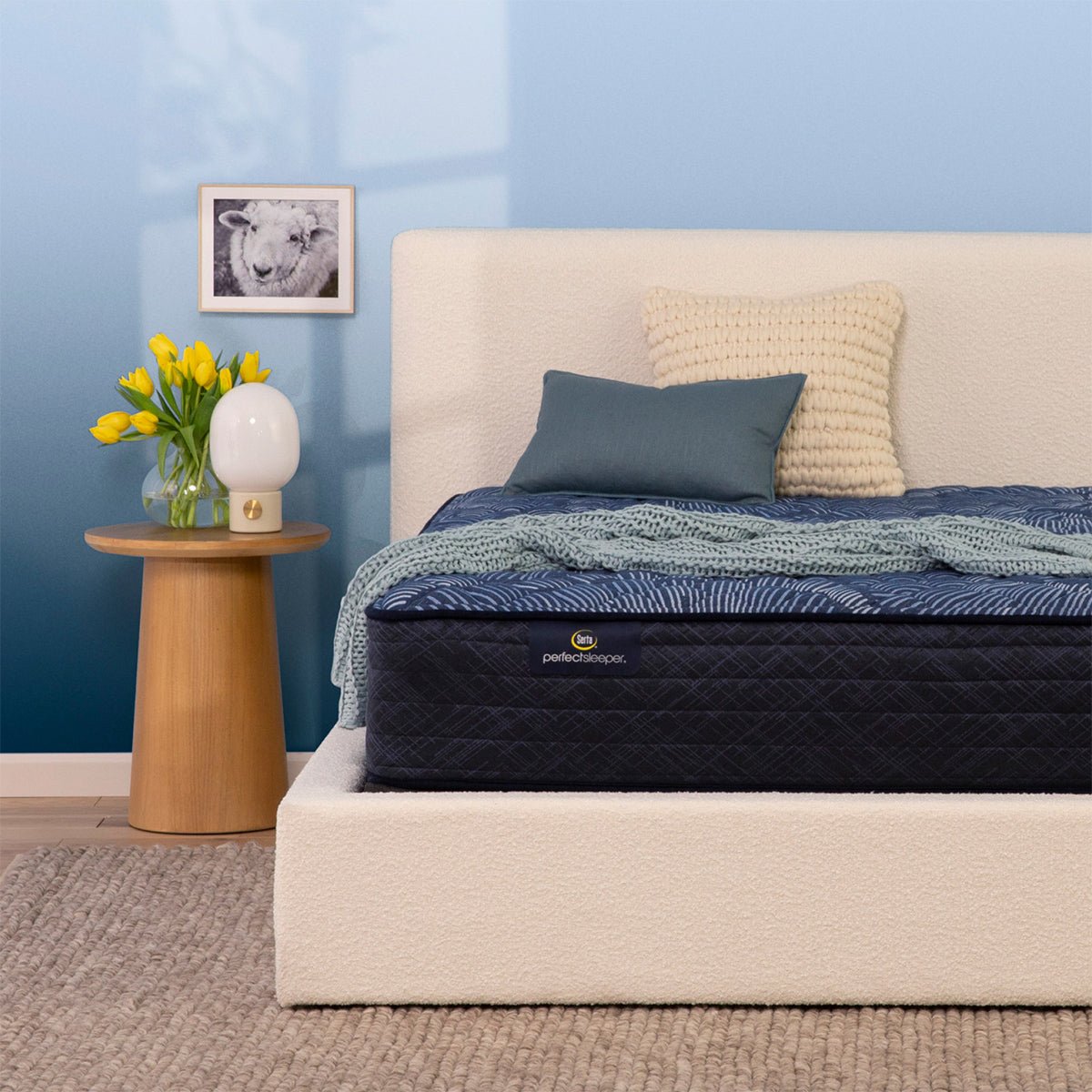 serta-perfect-sleeper-oasis-sleep-12-extra-firm-mattress-4211270 Serta Perfect Sleeper® Oasis Sleep 12" Extra Firm Mattress - Image 1