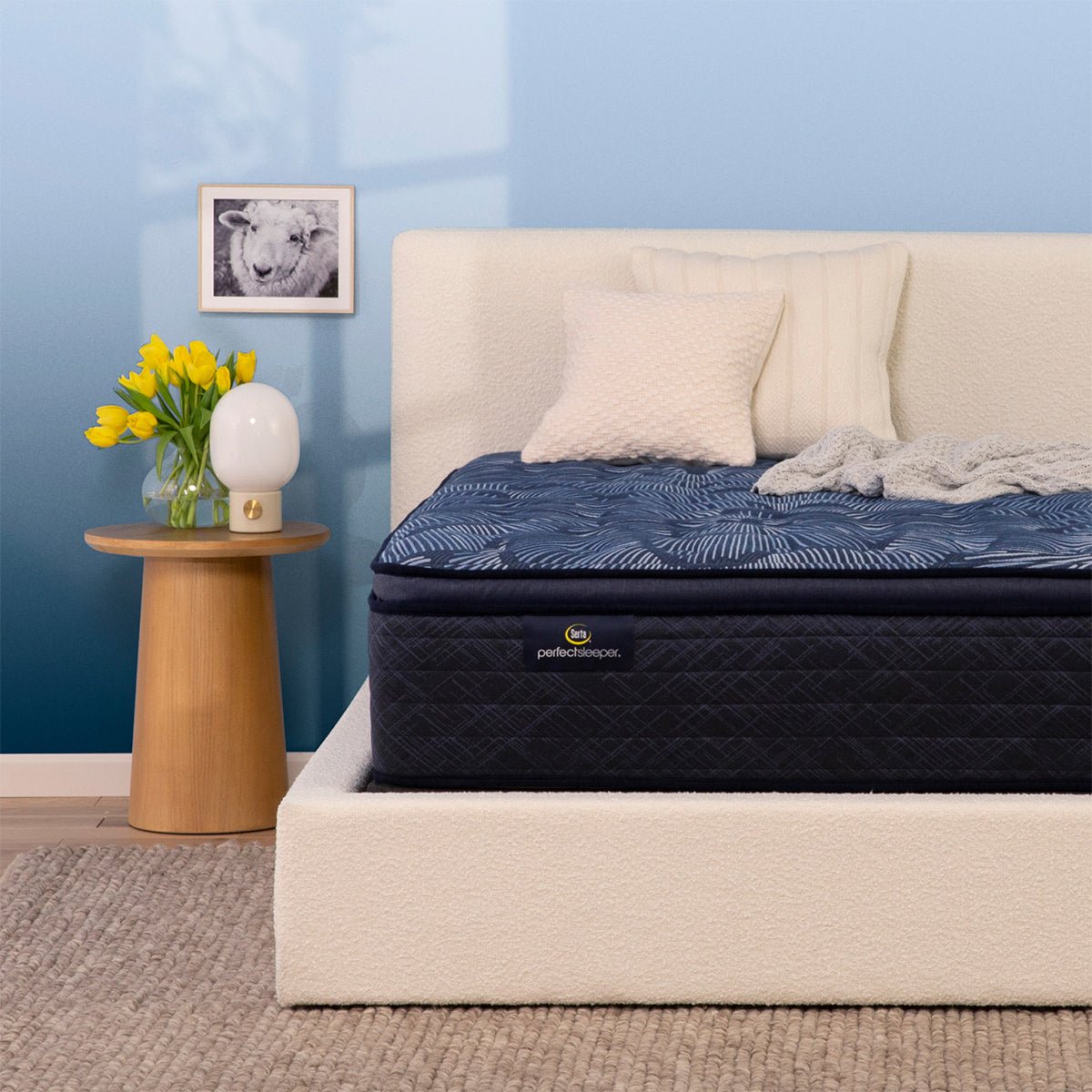 serta-perfect-sleeper-oasis-sleep-145-medium-pillow-top-mattress-9545316 Serta Perfect Sleeper® Oasis Sleep 14.5" Medium Pillow Top Mattress - Image 1