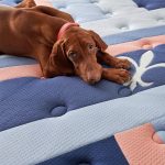 Stearns & Foster Reserve Duet Firm Tight Top Mattress with Reversible Topper - Image 7