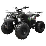 Tao T Forcee T125 Mid Size ATV - Image 2