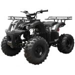 Tao T Forcee T125 Mid Size ATV - Prioka