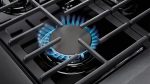 Thor Kitchen LRG3601U 36-Inch Professional Freestanding Gas Range with Convection Oven, Stainless Steel - Image 2