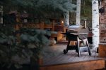 Traeger Grills Pro Series 22 Electric Wood Pellet Grill and Smoker - Image 2