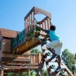 Woodridge Elite Swing Set - Image 7